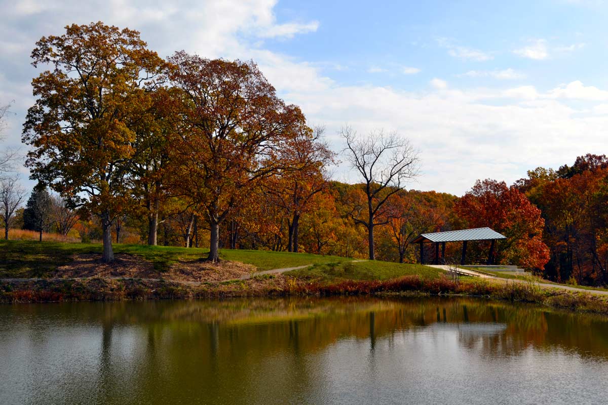 綠色基礎設施框架中的弗洛伊茲?？斯珗@
