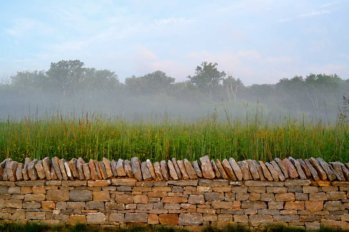 綠色基礎設施框架中的弗洛伊茲福克公園