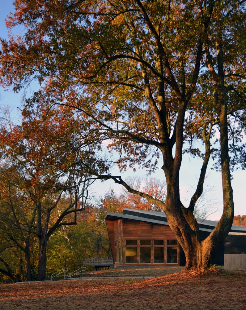 綠色基礎設施框架中的弗洛伊茲?？斯珗@