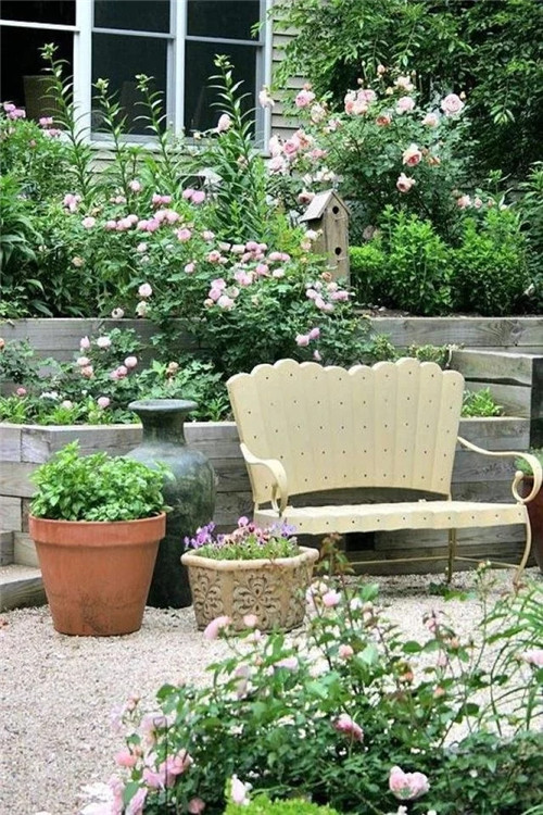 露臺和院子中少不了的9種多年生花卉