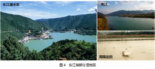 廖秋林：湖南資興城市濕地資源保護規劃研究