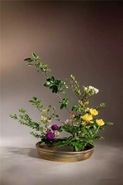 中式插花的“天道”與“地理”