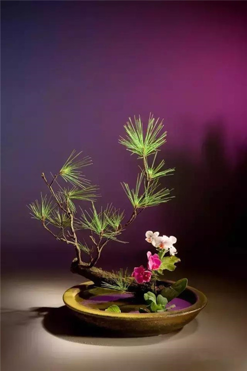 中式插花的“天道”與“地理”