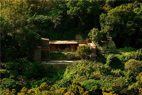 叢林中廢棄農舍改造而成的自然住宅
