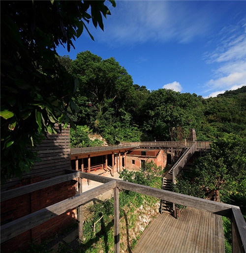 叢林中廢棄農舍改造而成的自然住宅