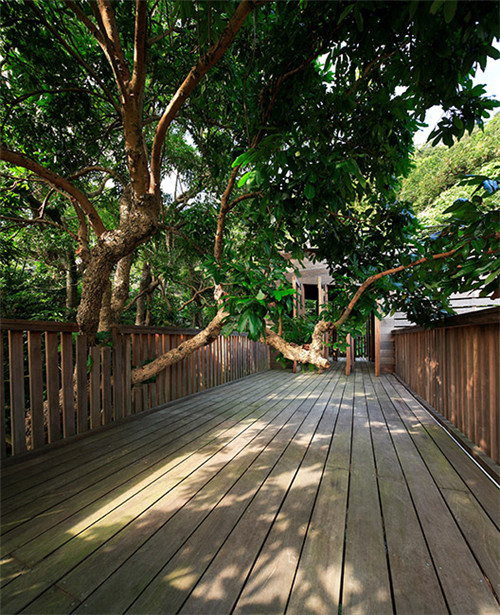 叢林中廢棄農舍改造而成的自然住宅