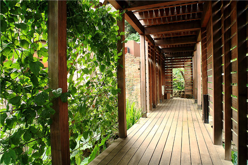 叢林中廢棄農舍改造而成的自然住宅