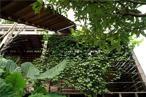 叢林中廢棄農舍改造而成的自然住宅