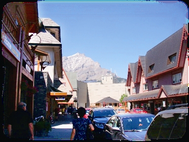 加拿大的國家公園與生態保育