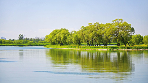 正和恒基王殊：風景園林創新源于與專業整合