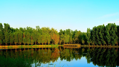 正和恒基王殊：風景園林創新源于與專業整合