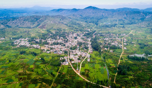 郗金標(biāo)：應(yīng)用型本科園林專業(yè)實(shí)踐教學(xué)模式探討