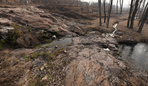 郗金標(biāo)：應(yīng)用型本科園林專業(yè)實(shí)踐教學(xué)模式探討