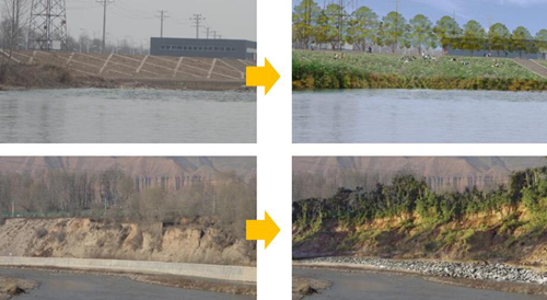 Marja、胡榮：具有地域特色的生態景觀規劃
