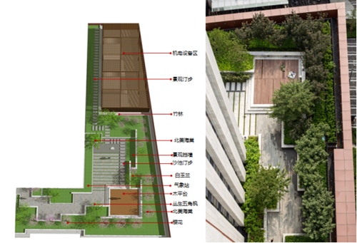 魏煒：構建城市生態系統中的空中綠島