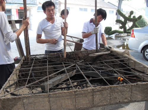 于運樂：立體綠化設計施工及應用展望