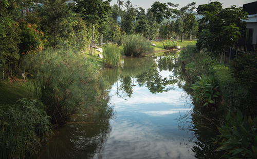 徐金福：巴厘島風(fēng)格——?jiǎng)e墅區(qū)景觀設(shè)計(jì)及建筑