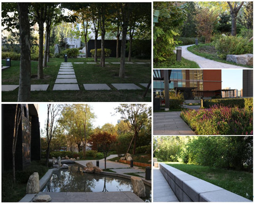 王達(dá)：從庭院到風(fēng)景，重回中國(guó)造園的原點(diǎn)