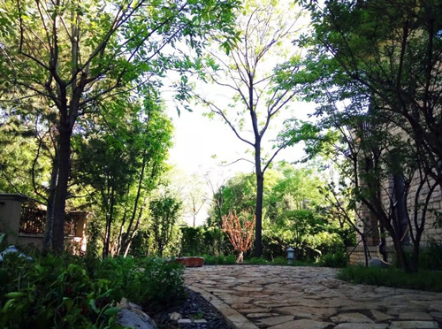 王達(dá)：從庭院到風(fēng)景，重回中國(guó)造園的原點(diǎn)