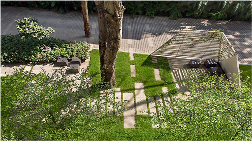 Viraj Chatterjee：宜居景觀——一個畫與詩的合集