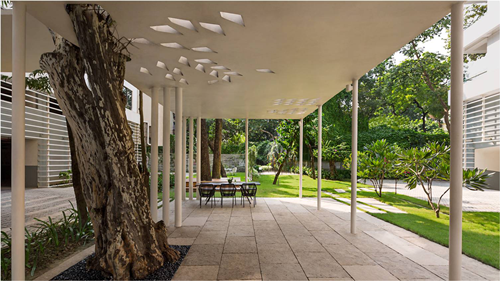 Viraj Chatterjee：宜居景觀——一個畫與詩的合集