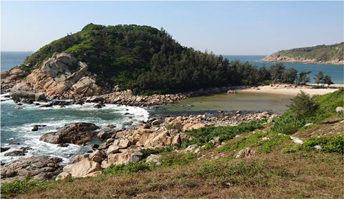 Viraj Chatterjee：宜居景觀——一個畫與詩的合集