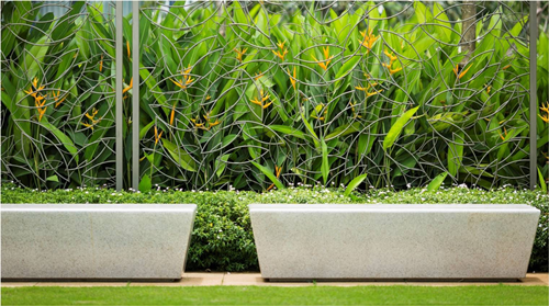 Viraj Chatterjee：宜居景觀——一個畫與詩的合集