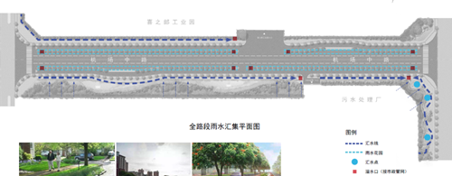 劉怡:城市雙修中“見縫插針”式的生態(tài)修復