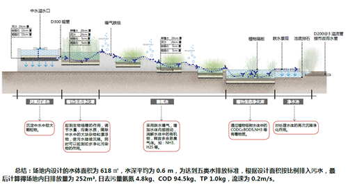 劉怡:城市雙修中“見縫插針”式的生態(tài)修復