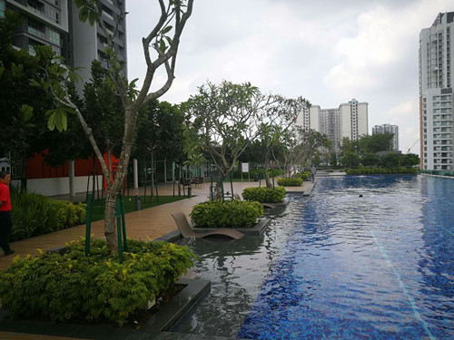 園冶杯組委會出席馬來西亞景觀獎頒獎典禮