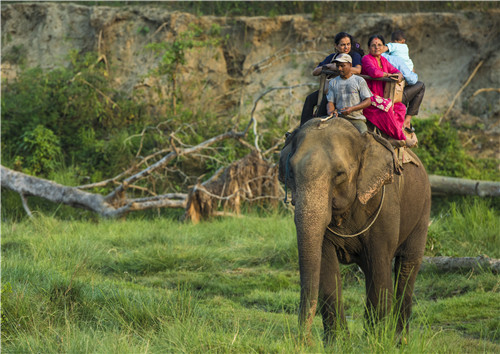 尼泊爾最奇特的地方，奇特旺國家公園