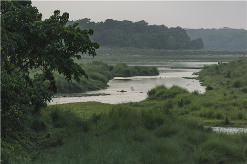尼泊爾最奇特的地方，奇特旺國家公園