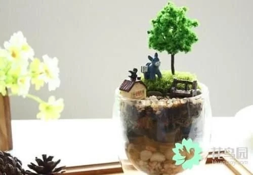 生動(dòng)綠意場(chǎng)景:家庭微景觀設(shè)計(jì)