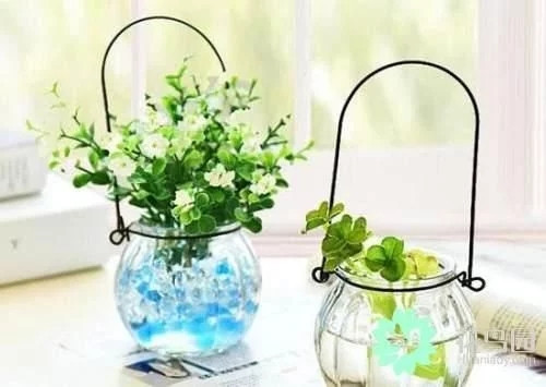 生動(dòng)綠意場(chǎng)景:家庭微景觀設(shè)計(jì)