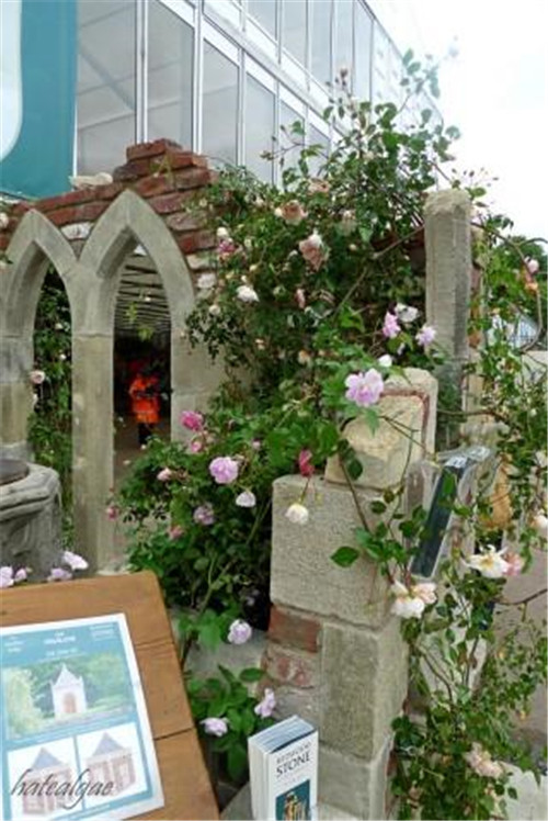 石頭“玫瑰花園”,深深打動了我!