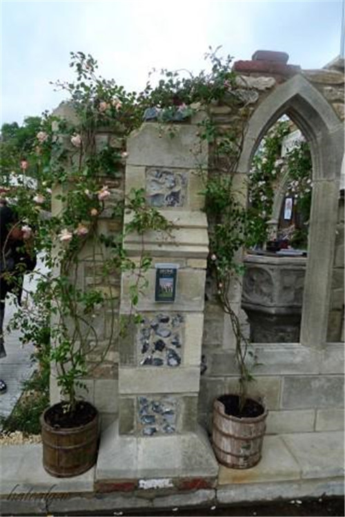 石頭“玫瑰花園”,深深打動了我!