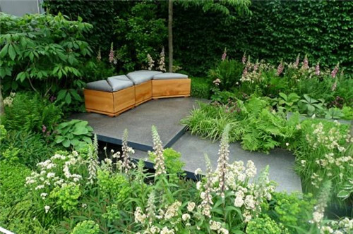 石頭“玫瑰花園”,深深打動了我!