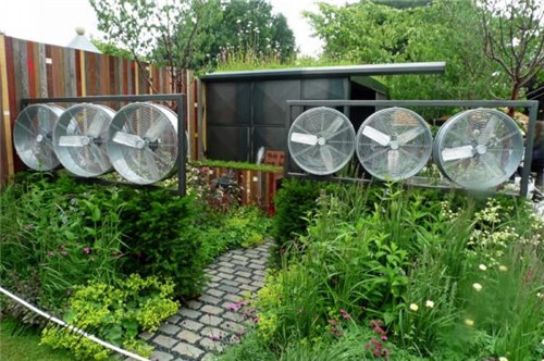 石頭“玫瑰花園”,深深打動了我!