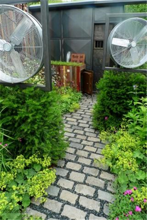 石頭“玫瑰花園”,深深打動了我!