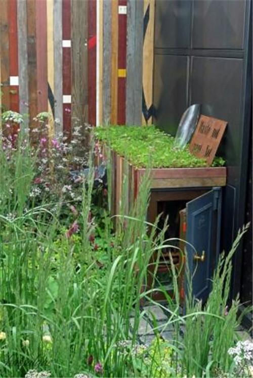 石頭“玫瑰花園”,深深打動了我!