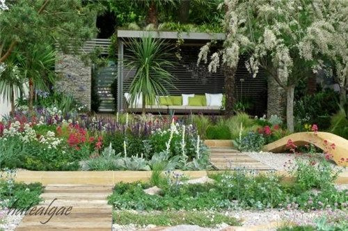 石頭“玫瑰花園”,深深打動了我!