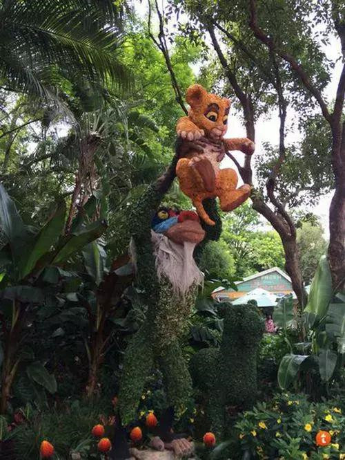 全球創意主題植物雕塑欣賞