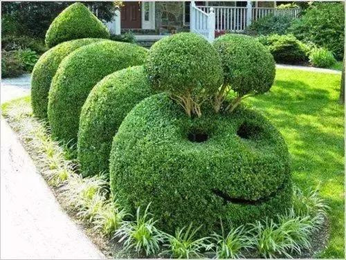 全球創意主題植物雕塑欣賞