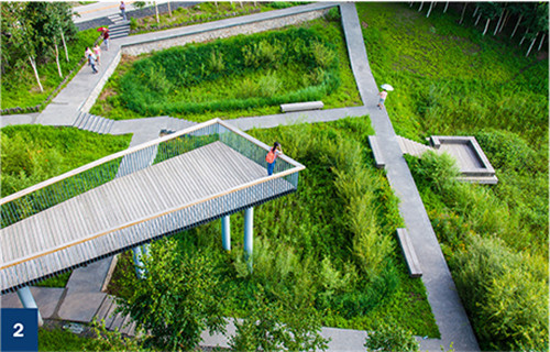 古老智慧復(fù)興中的綠色基礎(chǔ)設(shè)施