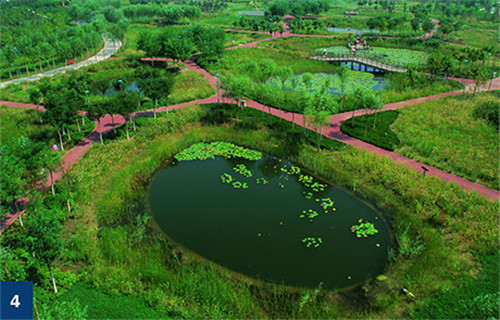 古老智慧復(fù)興中的綠色基礎(chǔ)設(shè)施