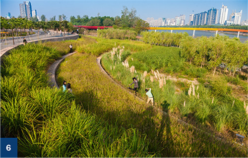 古老智慧復(fù)興中的綠色基礎(chǔ)設(shè)施