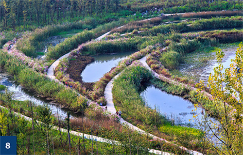 古老智慧復(fù)興中的綠色基礎(chǔ)設(shè)施