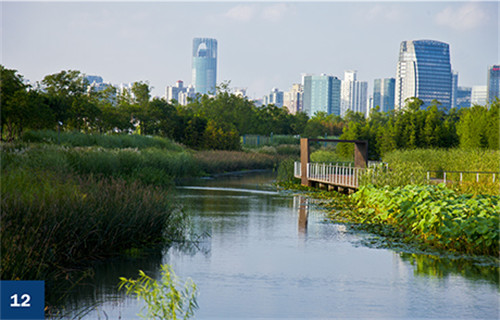 古老智慧復(fù)興中的綠色基礎(chǔ)設(shè)施