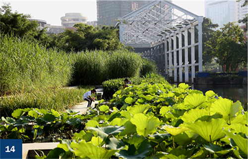 古老智慧復(fù)興中的綠色基礎(chǔ)設(shè)施