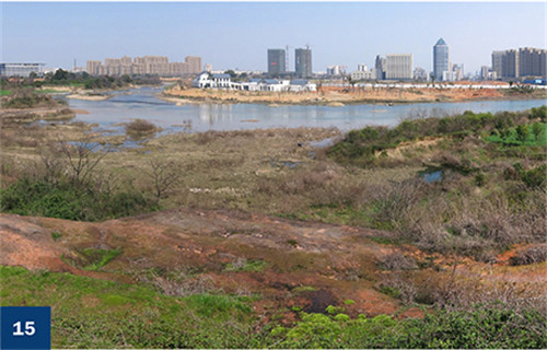 古老智慧復(fù)興中的綠色基礎(chǔ)設(shè)施